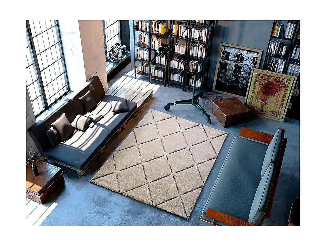 Hoogpolig tapijt - geometrisch - wit - 120x170 cm - SWANSEA