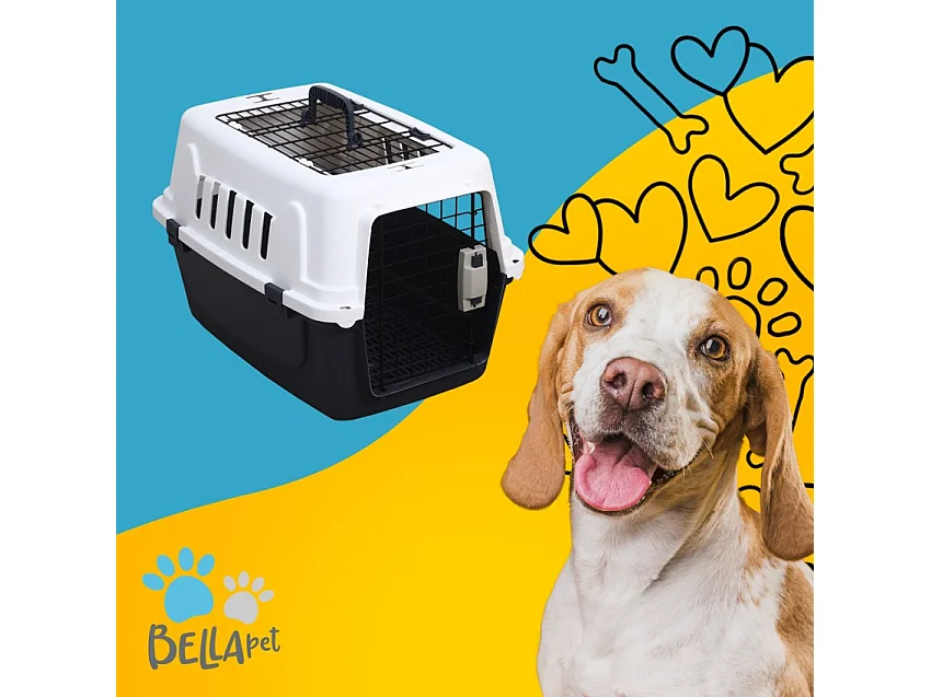 Transportbox für Tiere mit einer harten Struktur und einem kleinen Teppich 40x58x38 Rexxy L