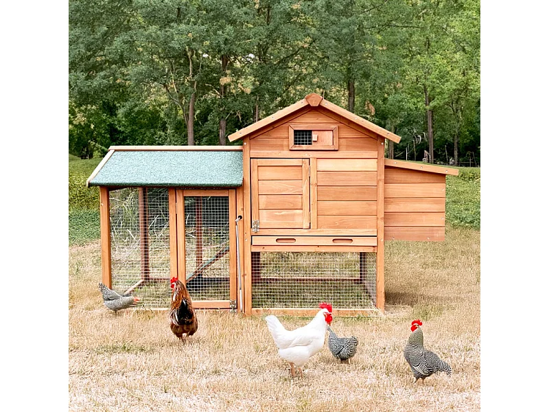 Kleiner erhöhter Gartenhühnerstall Holzgitter Brutraum 152x62x92 Marf