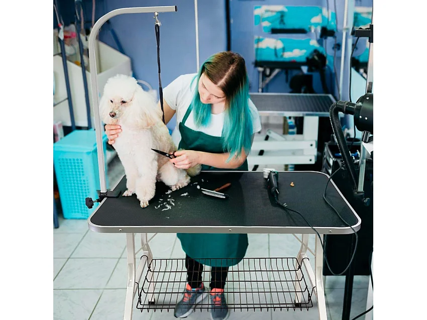 Mesa plegable para aseo de mascotas Bouledogue