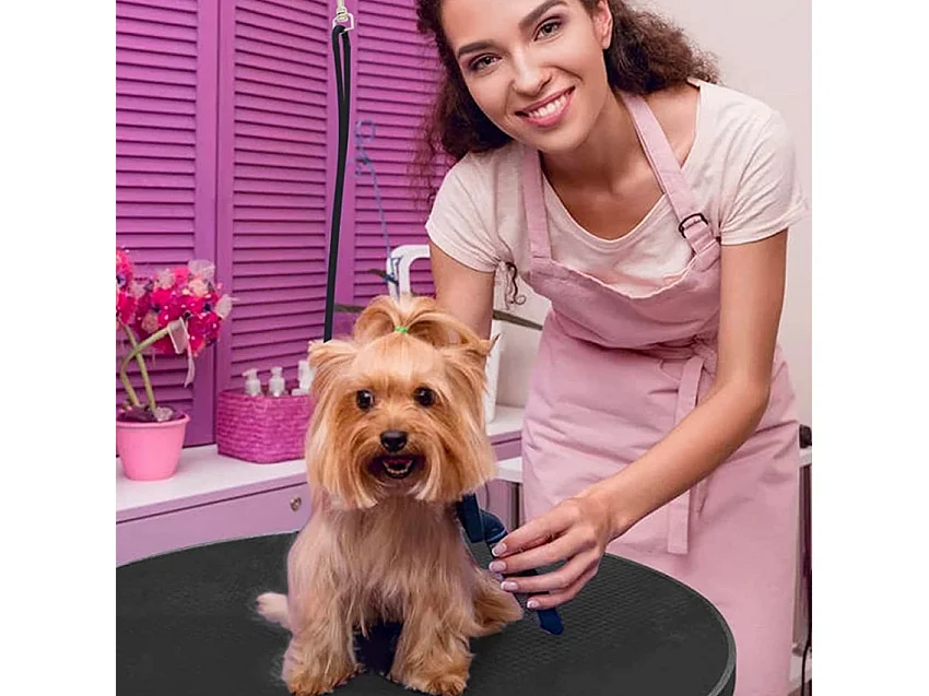 Mesa Peluquería Canina Giratoria Diámetro 60 cm Pug