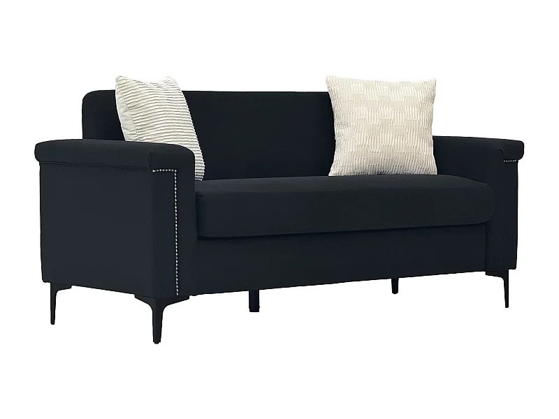 Canapé 2 places 172x72x82cm Canapé scandinave Design minimaliste Confort durable Bois massif Salon Noir