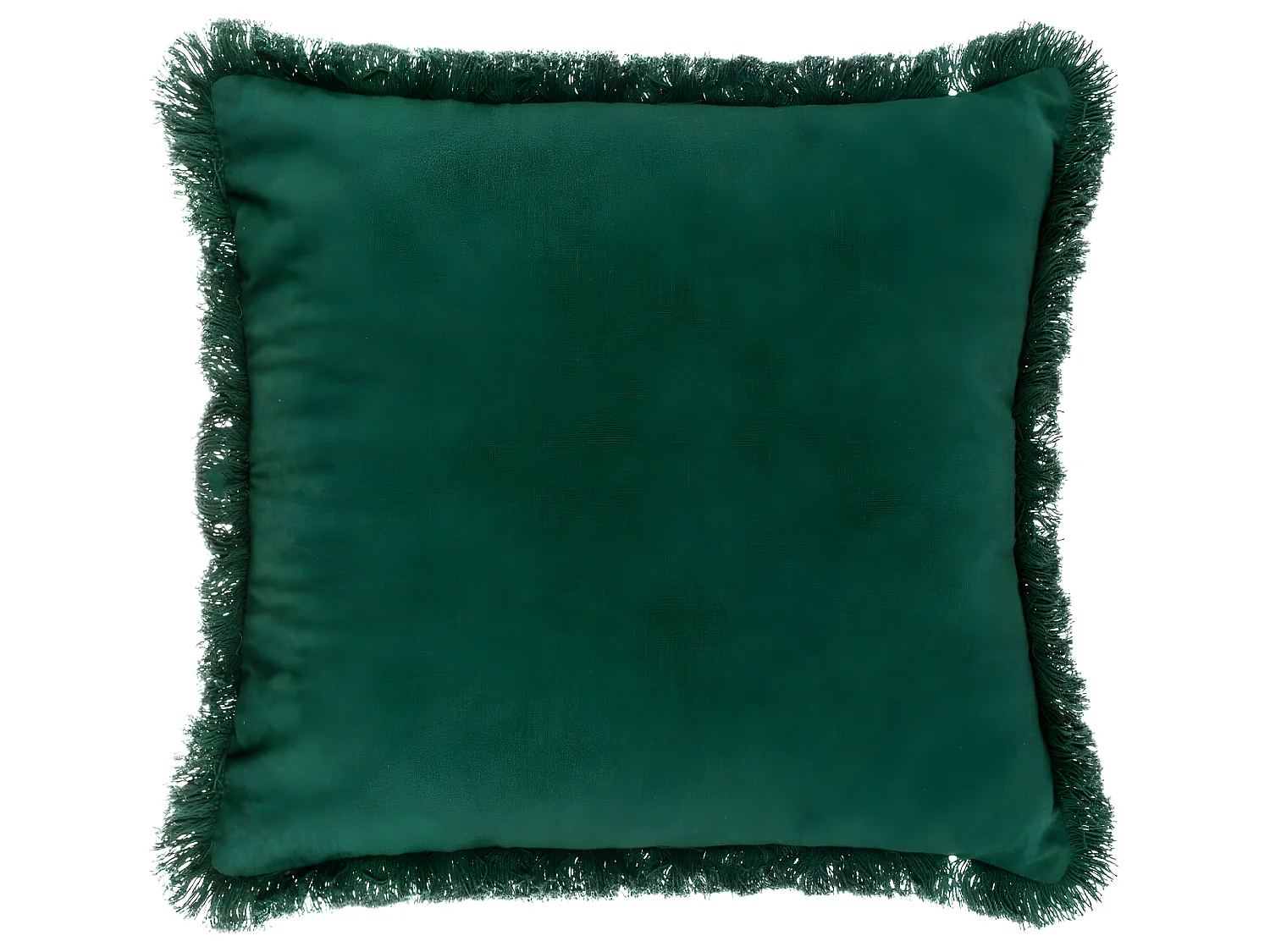 Housse de Coussin Brodée Jungle vert avec franges 40 x 40 cm