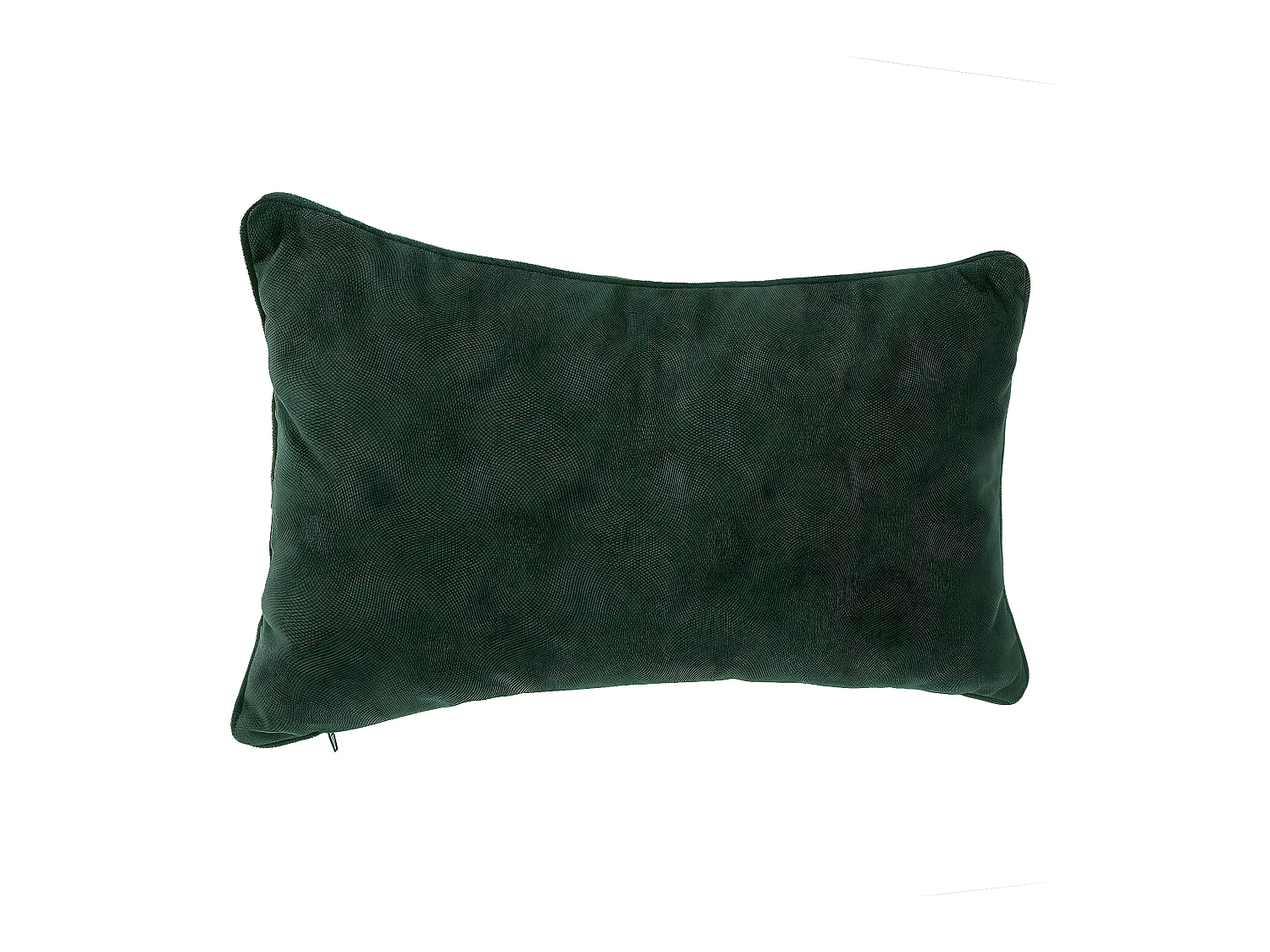 Coussin déhoussable Vert 30 x 50 cm