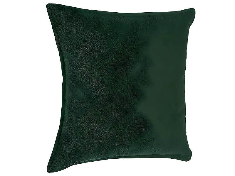 Coussin déhoussable Vert 45 x 45 cm
