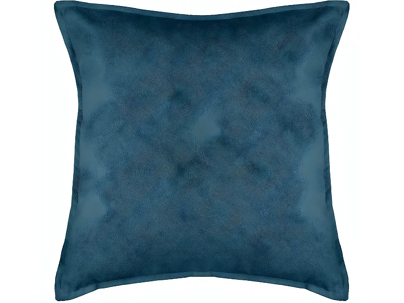 Coussin déhoussable Bleu 55 x 55 cm