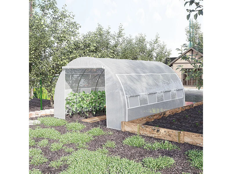 Serra a tunnel con porta, pannelli e 8 finestre avvolgibili bianco