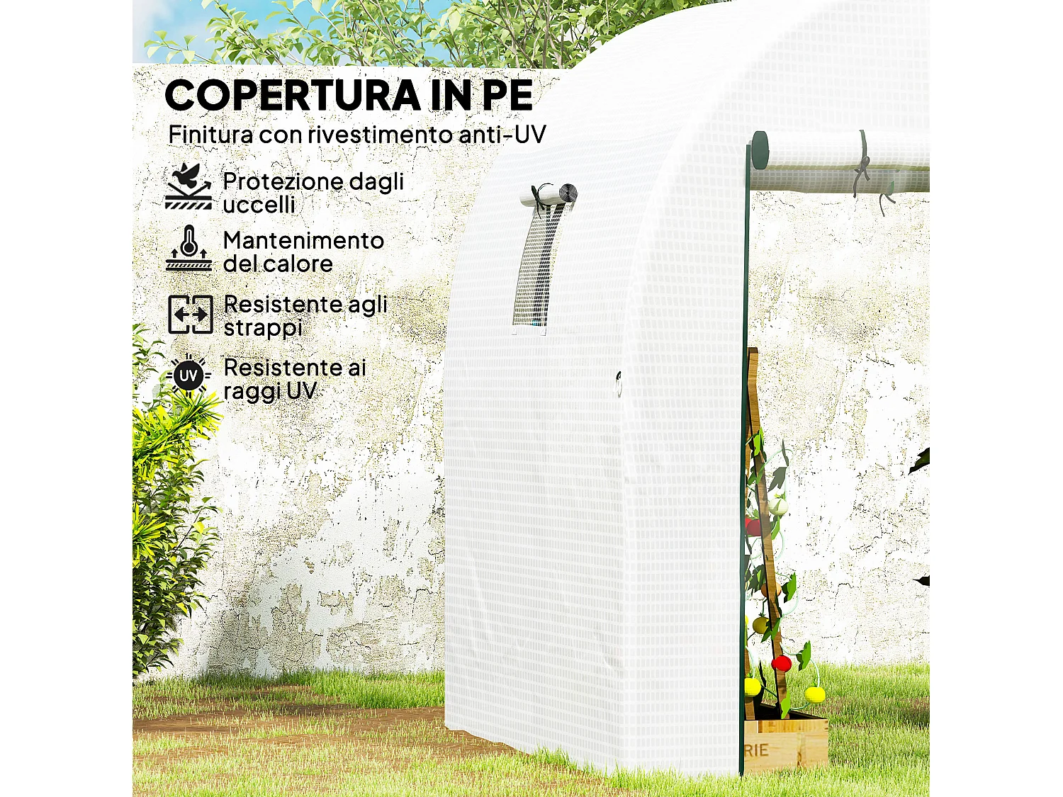 Serra a tunnel per orto con copertura bianca in PE e acciaio