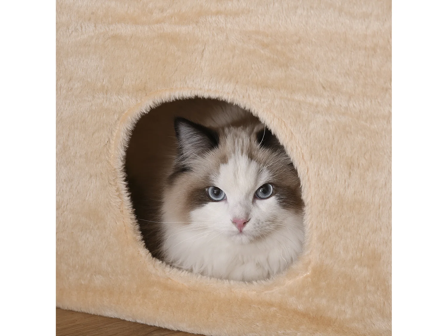 Tiragraffi a Soffitto Multilivello Palestra per Gatti con Cucce