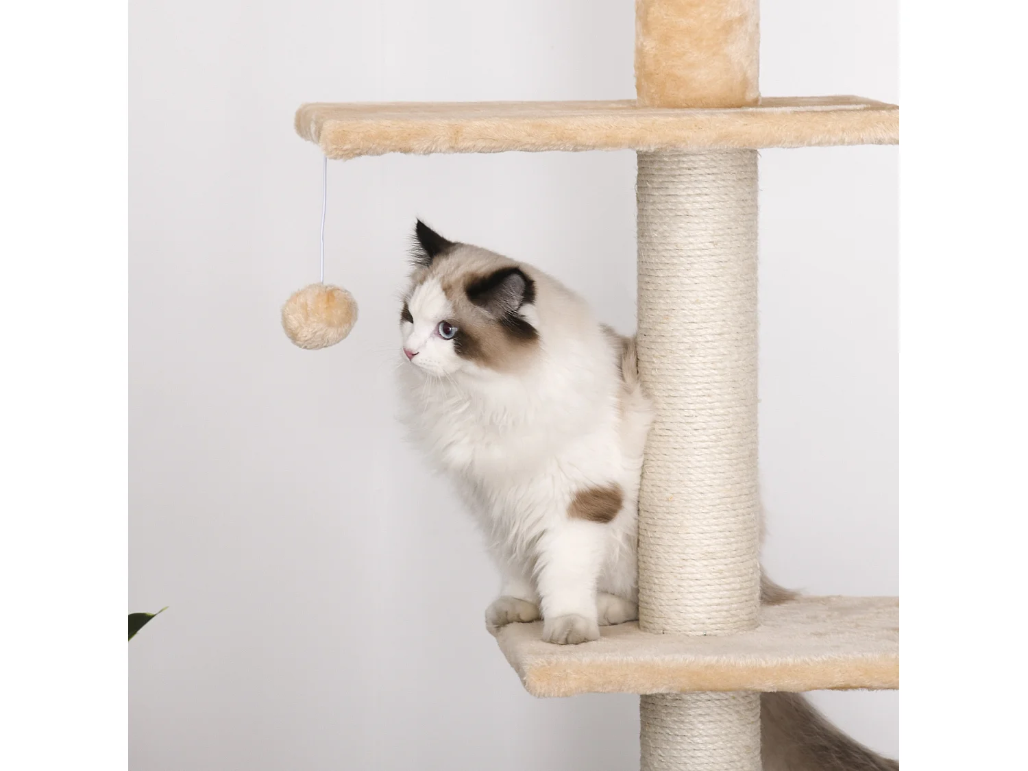 Tiragraffi a Soffitto Multilivello Palestra per Gatti con Cucce