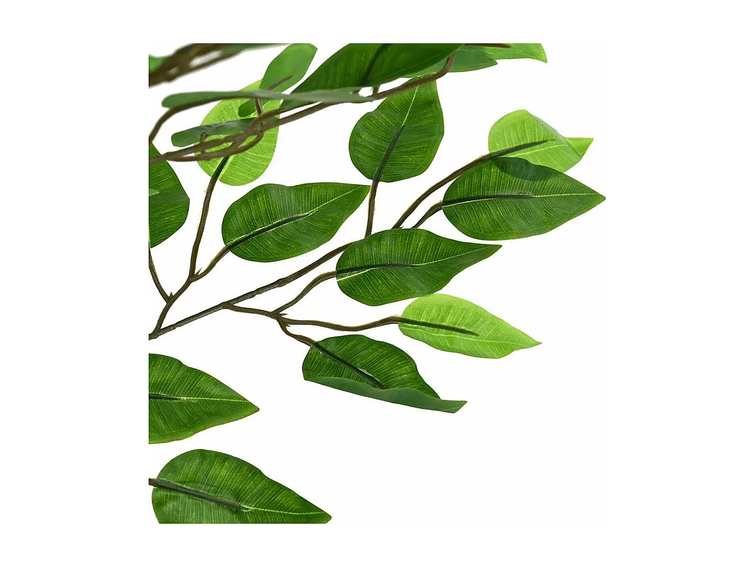 Planta artificial Ficus 1260 hojas verde 200 cm