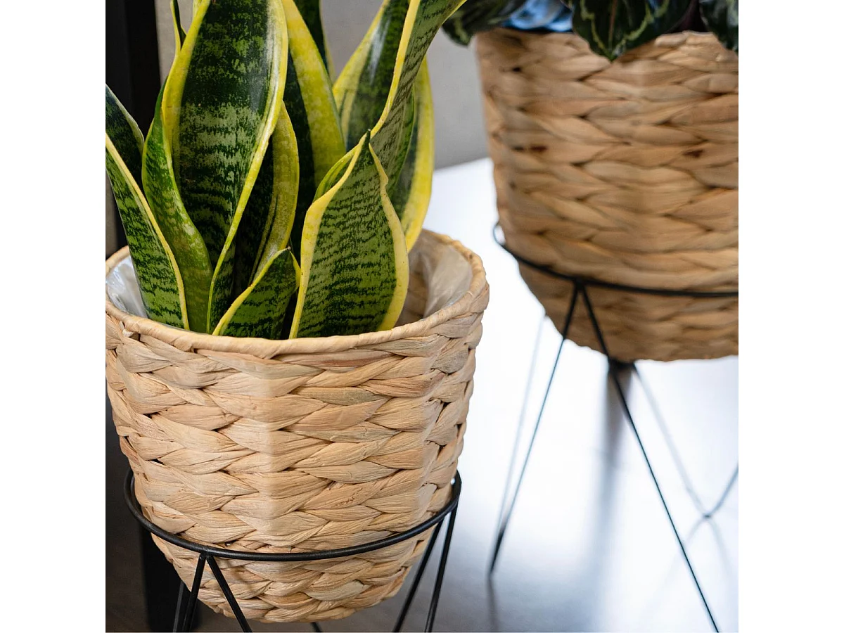 Set de 2 maceteros Jacinto MOA Vinthera natural