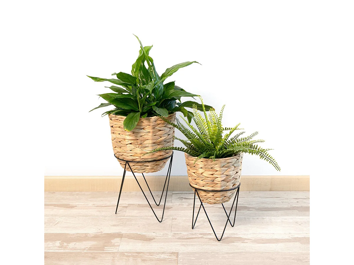 Set de 2 maceteros Jacinto MOA Vinthera natural