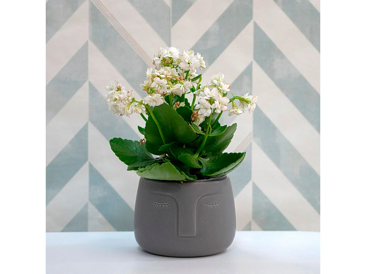 Macetero MOA Vinthera diseño de cara gris ø12,5x10,5 cm