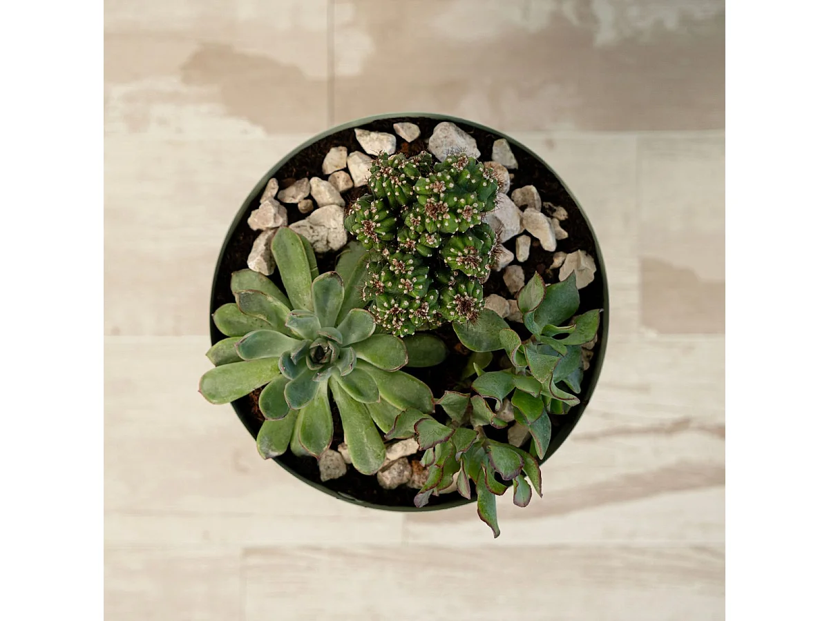 Macetero MOA Vinthera base alta acero verde claro Ø20x30 cm