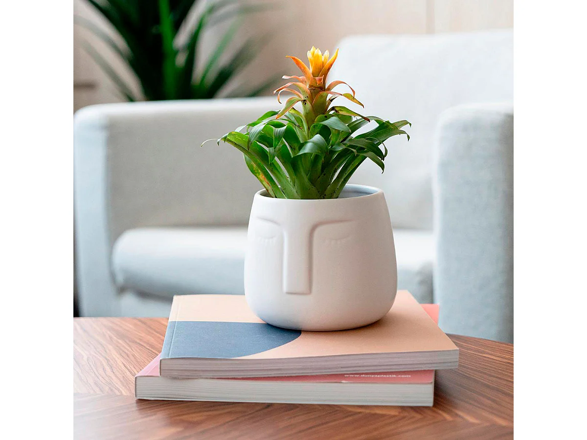 Macetero MOA Vinthera diseño de cara blanco ø10,5x10,5 cm