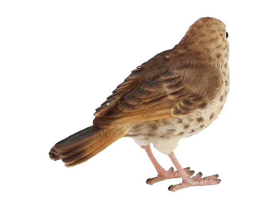 Oiseau décoratif extérieur en polyrésine Grive musicienne