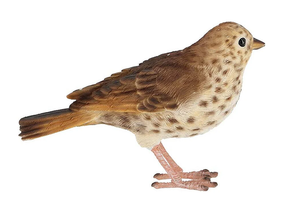 Oiseau décoratif extérieur en polyrésine Grive musicienne