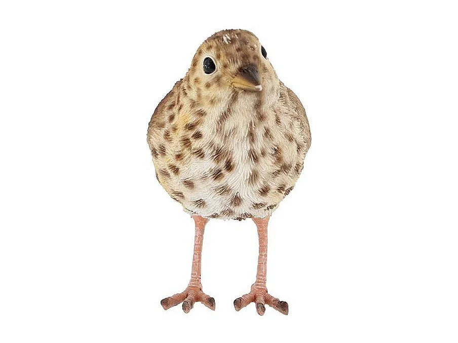 Oiseau décoratif extérieur en polyrésine Grive musicienne