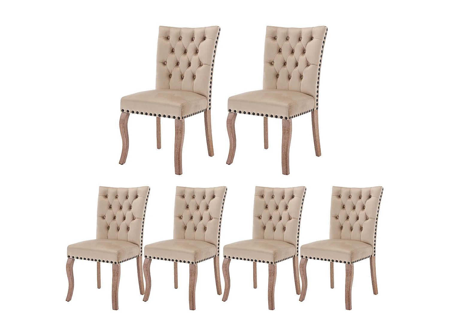 Chaise de salle à manger moderne, dossier avec anneau et clous décoratifs, velours, camel clair