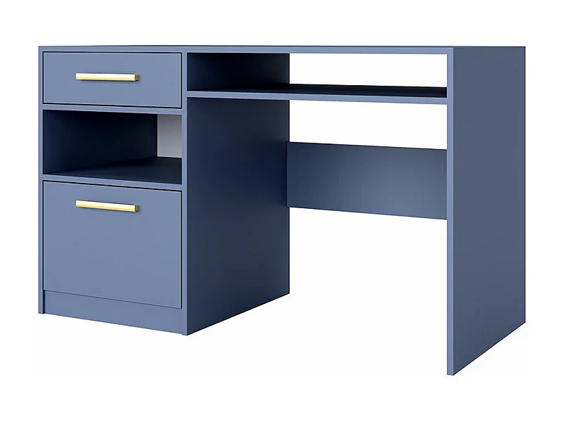 Bureau Delbalo 102, Avec des portes|Avec tiroirs, Le nombre de portes: 1, 82x125x58cm