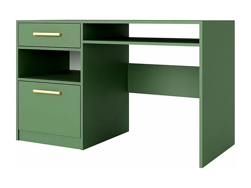 Bureau Delbalo 102, Avec tiroirs|Avec des portes, Le nombre de portes: 1, 82x125x58cm