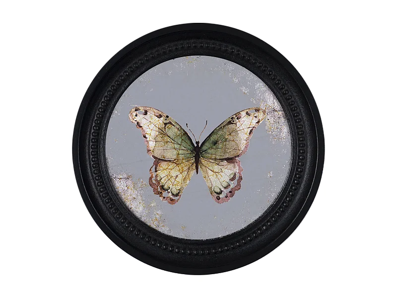 Déco murale encadrée papillon noir 27cm
