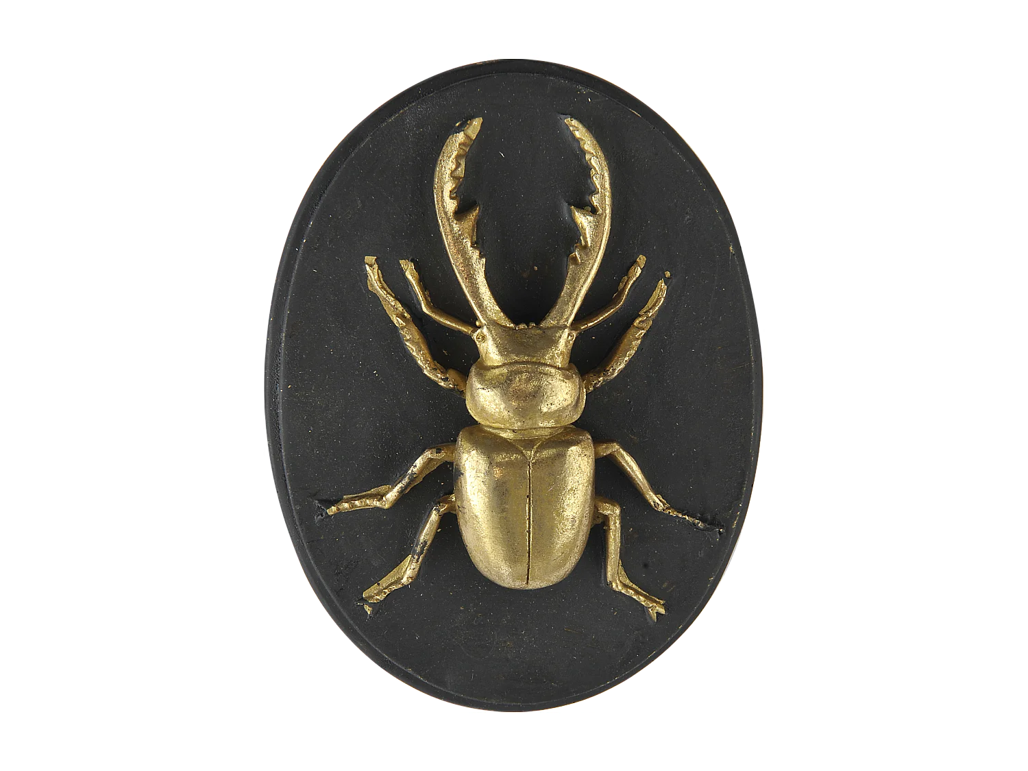 Lot de 3 déco murales abeille scarabée lucane noir et doré