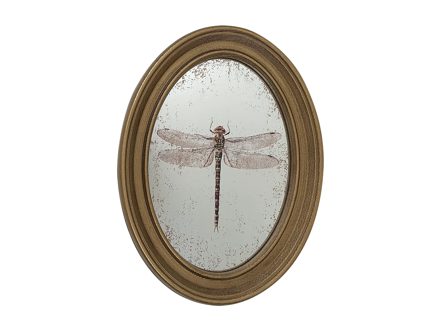 Déco murale encadrée libellule doré 20x30cm