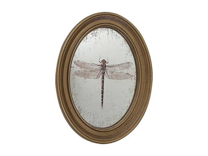 Déco murale encadrée libellule doré 20x30cm