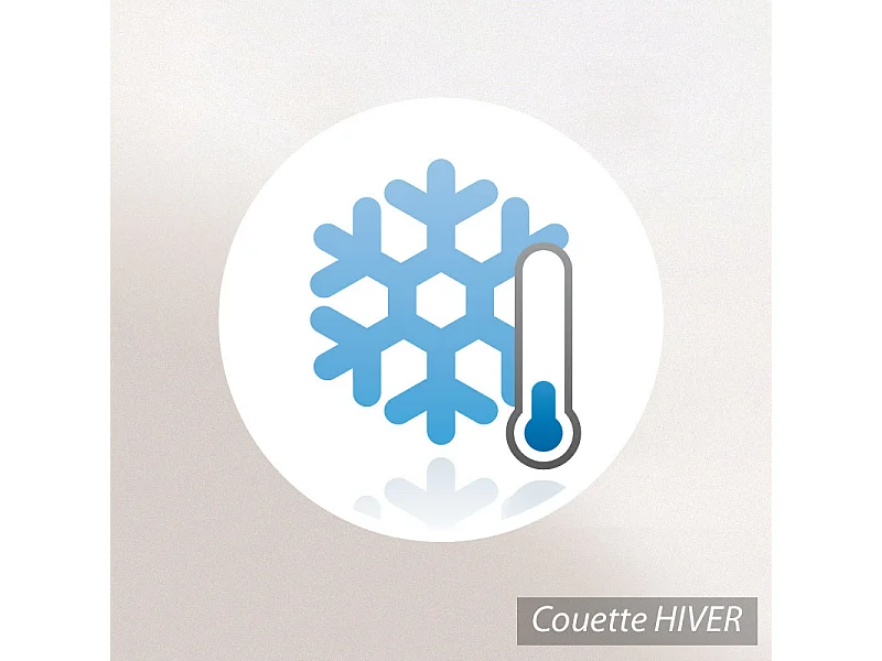 Couette 200x200 cm hiver BAMBOO garnissage viscose de bambou 400 g/m2