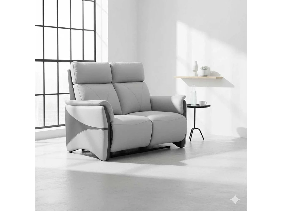 Canapé 2 places fixe tissu micro peau bicolore gris - SYMPHONY