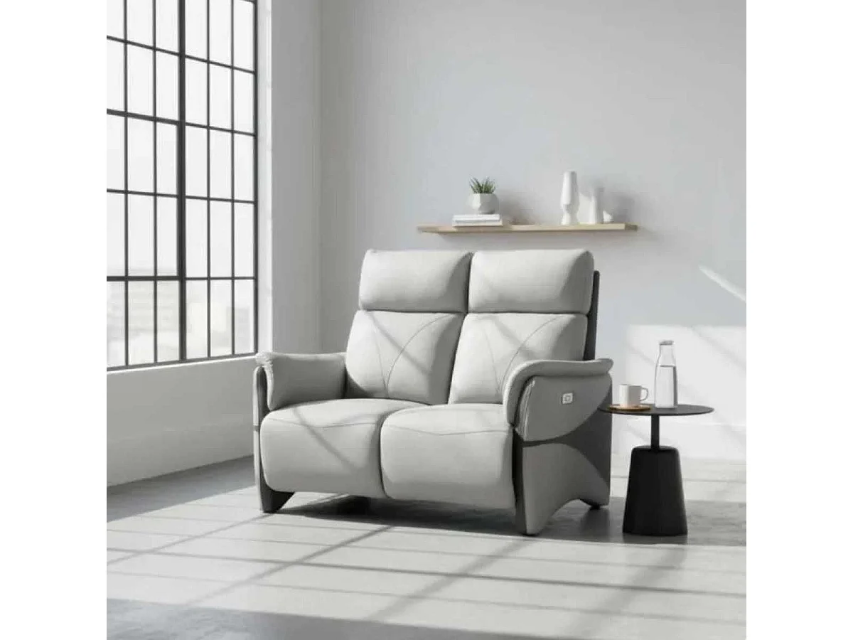 Canapé 2 places relax électrique tissu micro peau bicolore gris - SYMPHONY