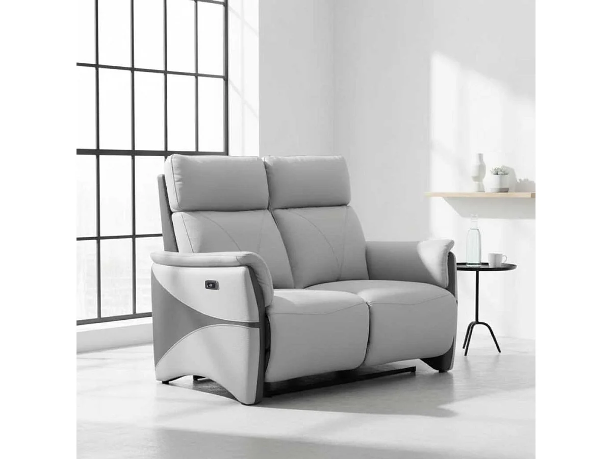 Canapé 2 places relax électrique tissu micro peau bicolore gris - SYMPHONY