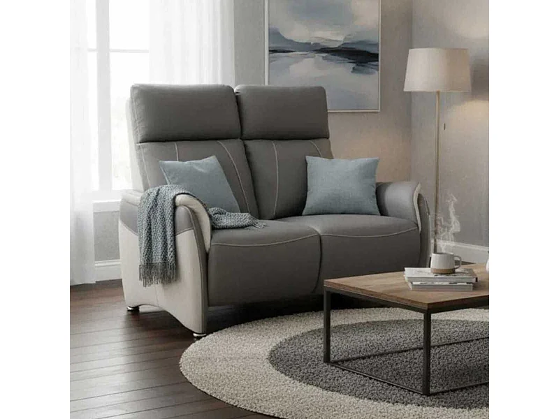 Canapé 2 places relax électrique tissu micro grain gris plomb et gris perle - SANGY