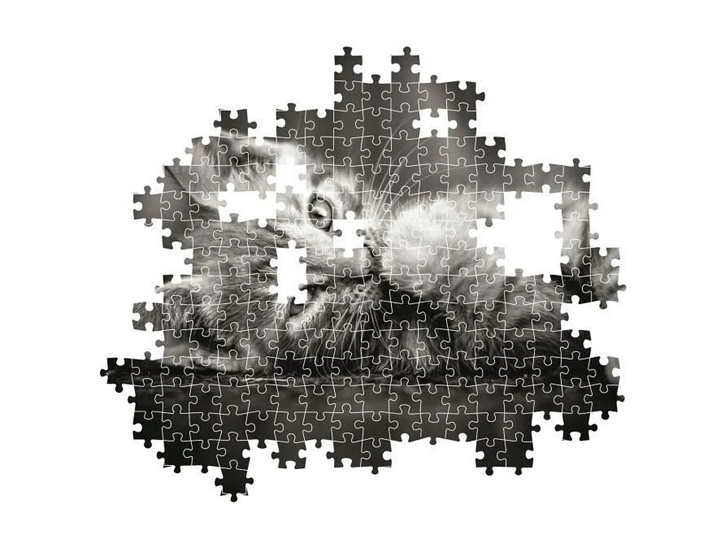 Rompecabezas Kitty, imagen de gato blanco y negro, 1000 piezas