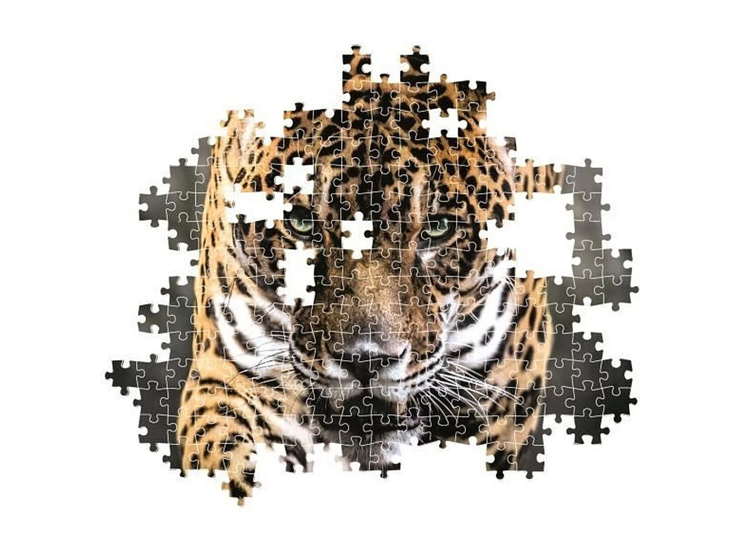 Rompecabezas Jaguar March de 1000 piezas