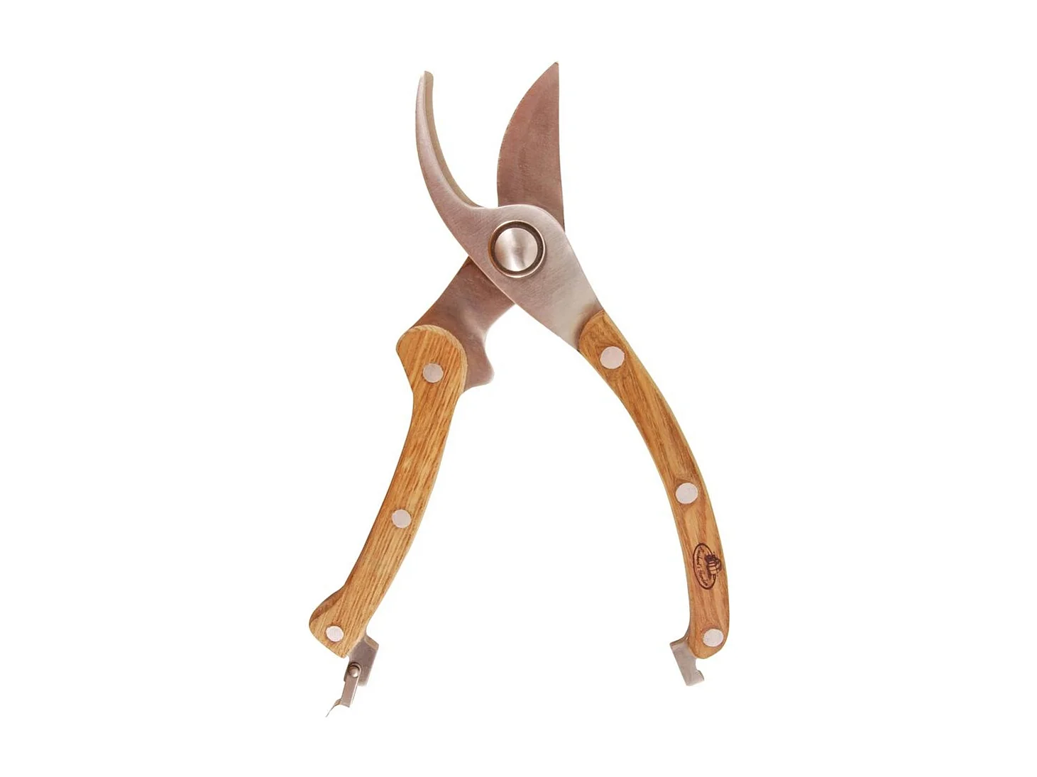 Ciseaux de taille pour plantes et fleurs en acier inoxydable avec manche en bois