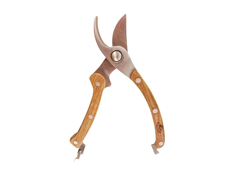 Ciseaux de taille pour plantes et fleurs en acier inoxydable avec manche en bois