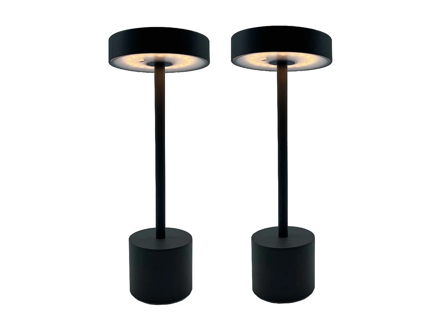 2 Lampe de table sans fil ROBY Gris H30cm