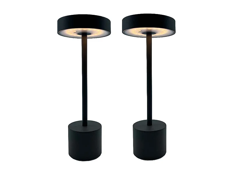 2 Lampe de table sans fil ROBY Gris H30cm