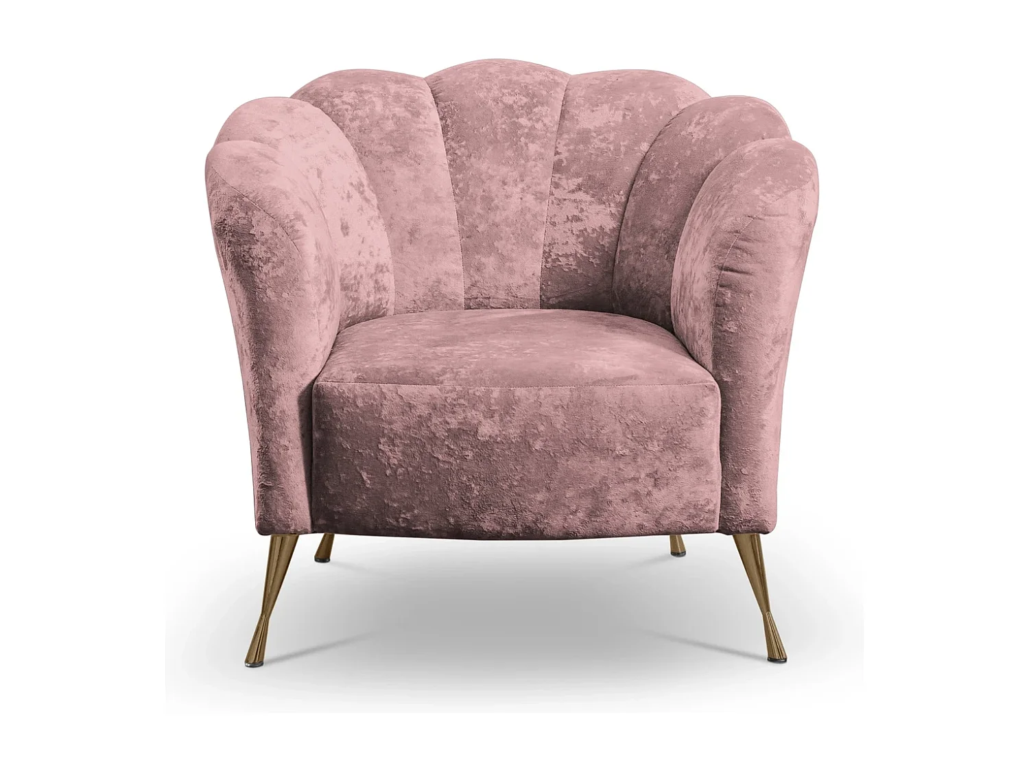 Fauteuil coquillage Adria - velours vieux rose pieds dorés