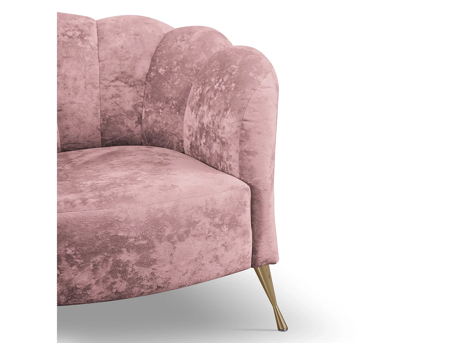 Fauteuil coquillage Adria - velours vieux rose pieds dorés