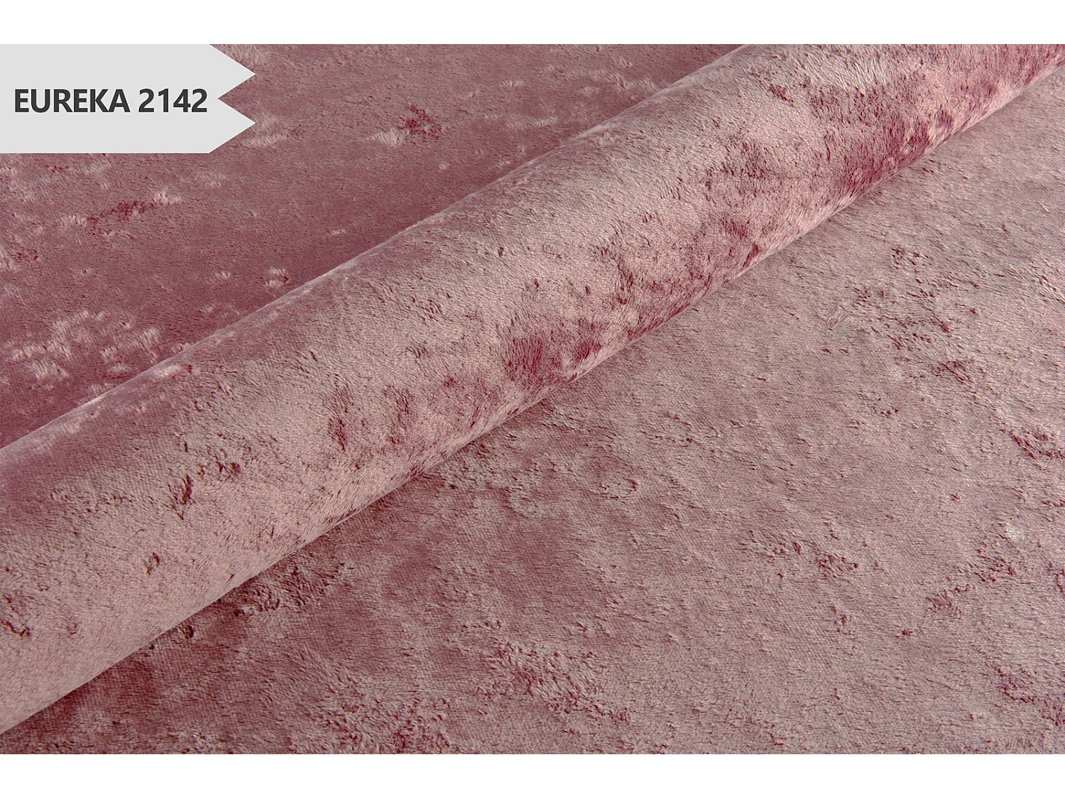 Fauteuil coquillage Adria - velours vieux rose pieds dorés