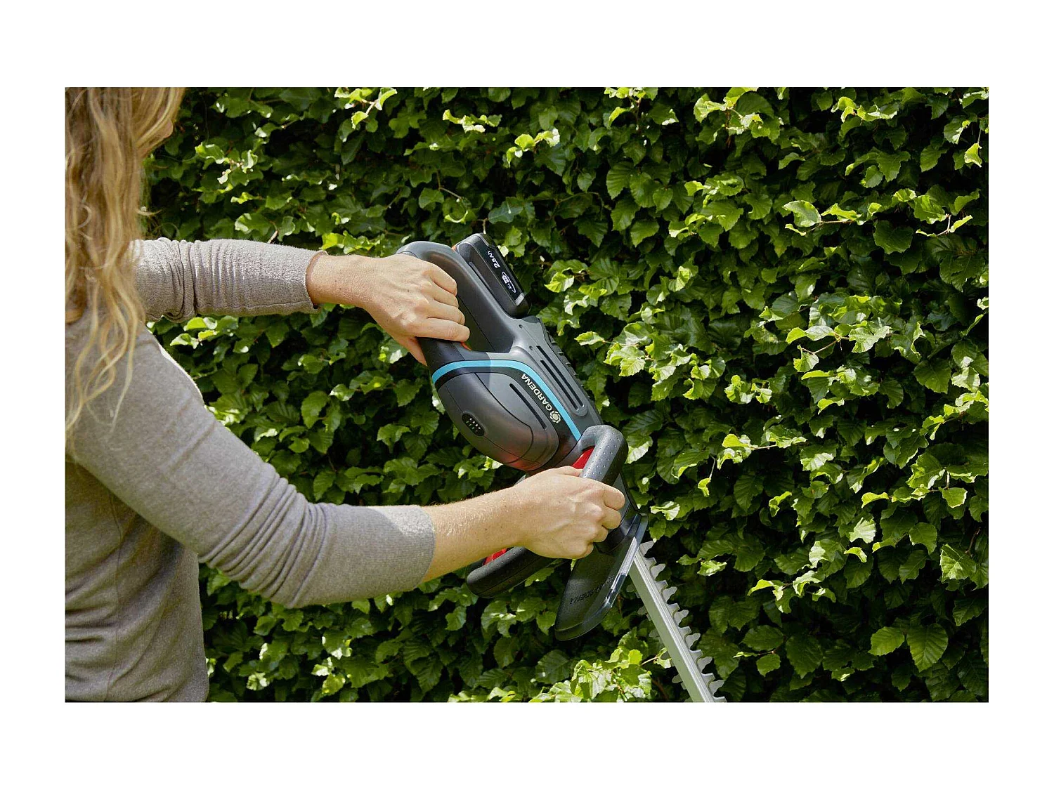 Gardena ComfortCut 50/18V P4A solo - Taille-haies - sans fil - 18 V - sans batterie - 50 cm
