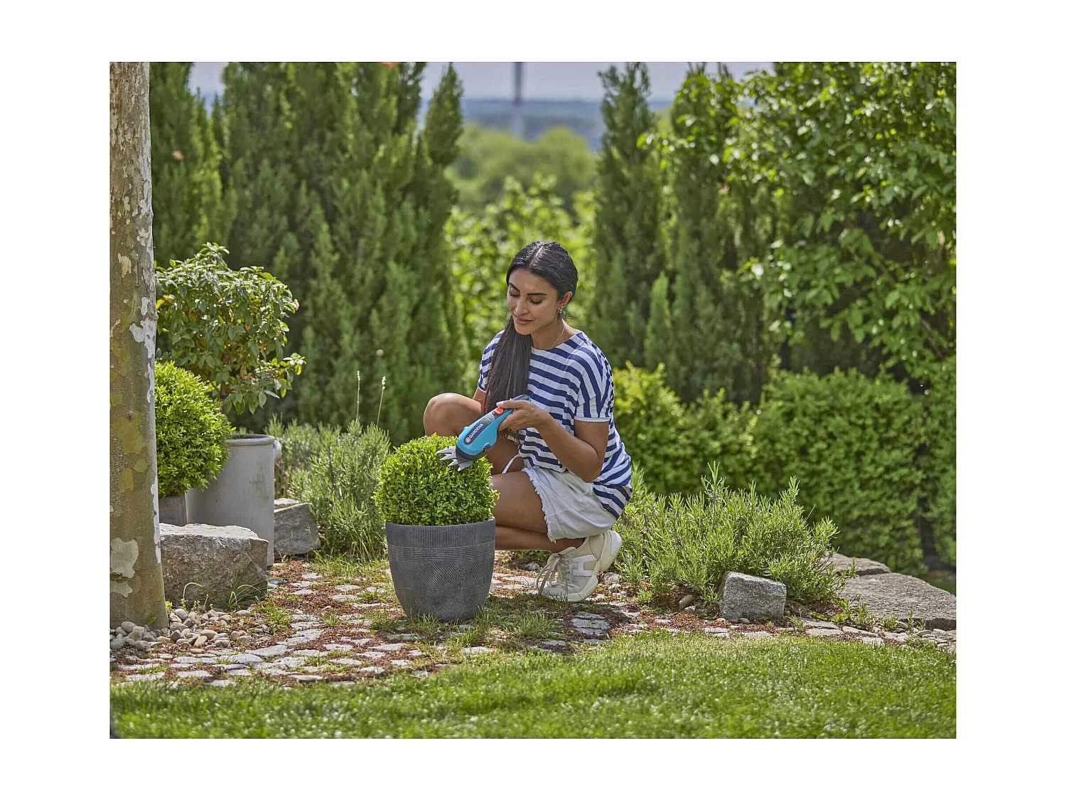 Kit cisaille à gazon et à buissons sans fil ClassicCut Li Gardena