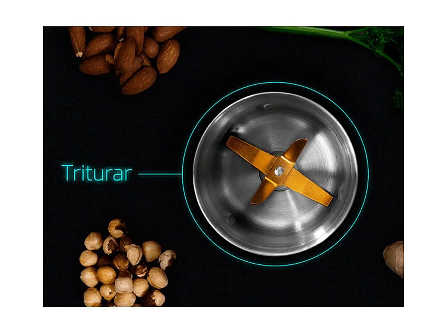 Molinillo eléctrico Cecotec TitanMill 300 DuoClean 300W inox