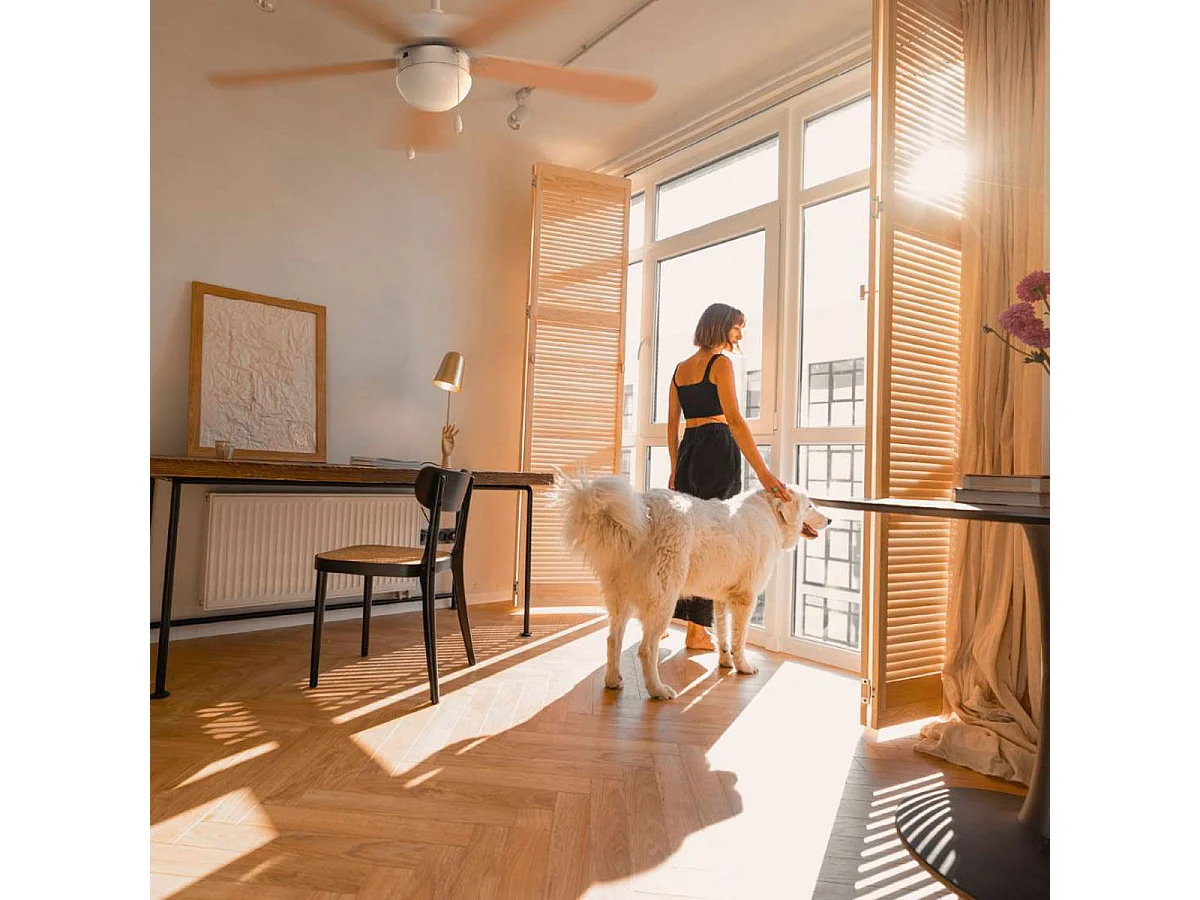 Ventilador de techo Etesios 6052W Universal Blue 60W 5 aspas reversibles blanco/natural Ø132 cm