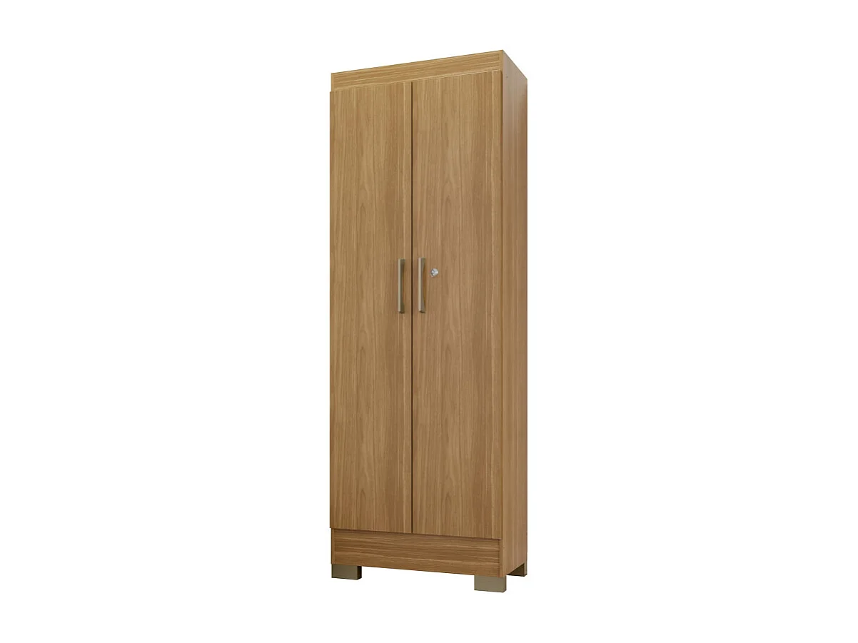 Armoire Multifonctions Chêne 2 portes 5 Niches L 63 H 180 P 35 cm