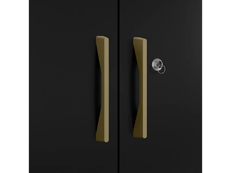 Armoire Multifonctions 2 portes 5 Niches Noire L 63 H 180 P 35 cm